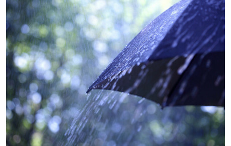 Info de dernière minute