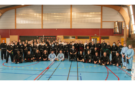 Stage de la ligue des pays de la Loire d'Arts Martiaux Vietnamiens à Ancenis le 19 février 2022