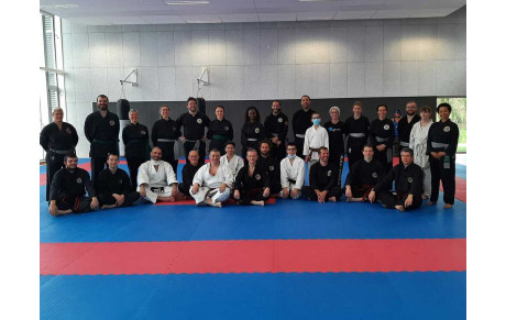 Stage départemental des arts martiaux Vietnamiens le 12 mars 2022 à St Père en Retz