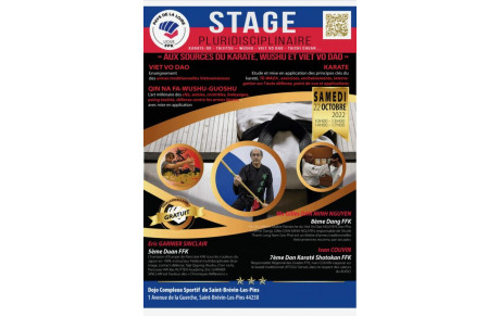 STAGE PLURIDISCIPLINAIRE