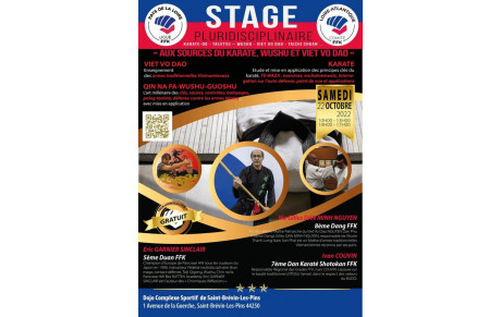 STAGE PLURIDISCIPLINAIRE