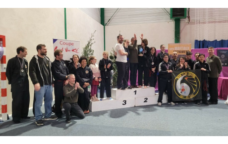 Belle performance sportive du club Cuu Long Vo Dao du pays d’Ancenis 