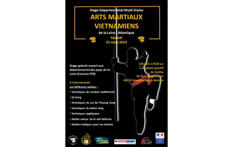 Stage multi-styles des Arts Martiaux Vietnamiens 2023