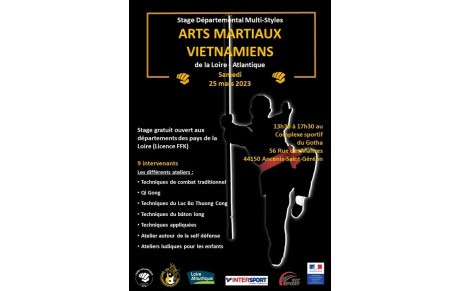 Stage multi-styles des Arts Martiaux Vietnamiens 2023
