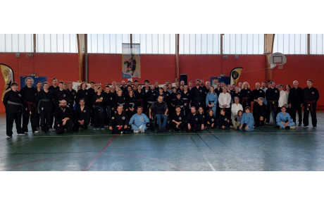 Petit retour du stage multi-styles des arts martiaux vietnamiens 2023 à Ancenis