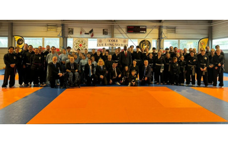 Compétition régionale technique des Arts Martiaux Vietnamiens à Ancenis