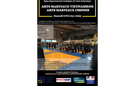 L'open départemental des arts martiaux Vietnamiens et arts martiaux Chinois.