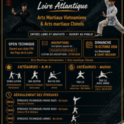 Open interdépartemental technique des Arts Martiaux Vietnamiens et Chinois.